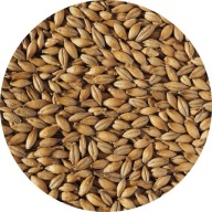Extra Pale Crisp jačmenný slad 1 kg