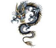 NÁLEPKA DRAGON DRAGON DRAGON SILVER GOLD AUTO UV FILTER
