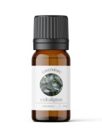 EUKALYPTUS ESENCIÁLNY OLEJ EUKALYPTUS PRÍRODNÁ AROMATERAPIA 10ml