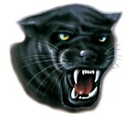 NÁLEPKA NA AUTOMOTOR PANTHER PUMA PUMA HEAD