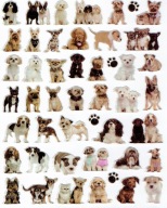 KONVEXNÉ MOTIVAČNÉ NÁLEPKY PUFFY 20x30cm. ALI DOGS DOGS DOGS