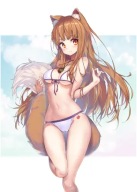 Plagát Anime Manga Spice and Wolf saw_054 A3