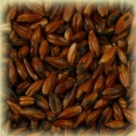 Château Cafe 500 EBC Hradné sladovníctvo 0,5 kg