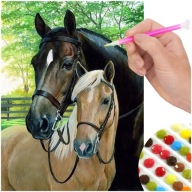 Diamantový obraz HORSES Diamantové vyšívanie 5D mozaika 30x40cm Aplikátor