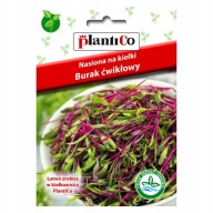 SEMIENKA REPY NA KLÍČKY PLANTICO 20g