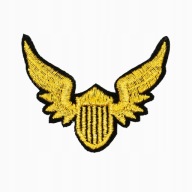 Zlatá nášivka MILITARY WINGS THERMO