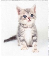 Utierka z mikrovlákna na čistenie okuliarov s potlačou CAT pre dieťa