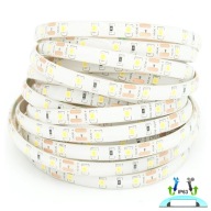 LED pás 300 2835 4,8W Studená biela 5m IP63