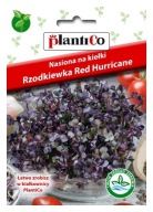 Red Hurricane Semená červenej reďkovky na klíčky 10g PlantiCo