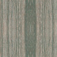 Samolepiaca čiapočka 14mm AMSTERDAM ELM