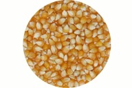 Popcorn Zrno Kukurica na praženie 500g
