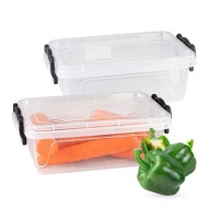 Lunchbox box na organizovanie jedla