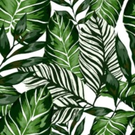 45 cm Dekoratívna nábytková dyha v bielo-zelených listoch Monstera