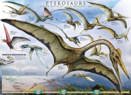 Plagát na stenu Pterosaurs Dinosaury 91,5x61 cm
