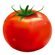 NÁLEPKA NA OKENNÉ ZRKADLOVÉ SKLO ZELENINA RAJČ