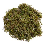 Prírodný lišajník na dekoráciu (60g)