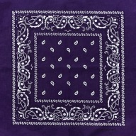 Bandama bandana bandana slivkový paisley šál