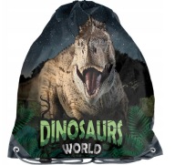 TAŠKA NA ŠPORTOVÚ OBUV PASO DINOSAUR PP23DZ-712