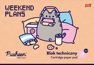 BIELY technický blok Pre deti ZUŠ A4/10k PUSHEEN St Majewski