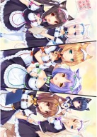 Anime Manga Plagát Nekopara np_021 A3