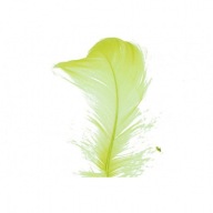 Ozdobné kreatívne pierka pre umelecké diela HIT!