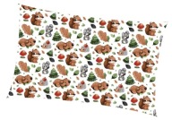 Bavlnená obliečka na vankúš 50x80 80/50 181 ježko