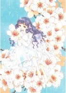 Anime Manga Cardcaptor Sakura Plagát ccs_217 A3