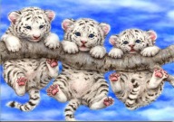 Diamantové vyšívanie Tigers MOSAIC Diamond Picture 5D H43
