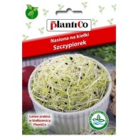 Pažítkové semienka na aromatické klíčky 10g