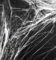 SPIDER WEB Biela s pavúkmi, Halloweenska dekorácia
