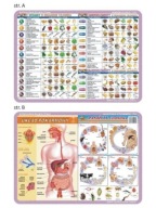 BIOLÓGIA Laminovaná edukačná podložka VITAMÍNY PARAZITY TABUĽKA školy