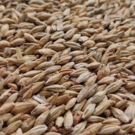 Red Ale slad 1kg Viking Malt - Nestrelený