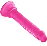 PENIS DILDO NA PRÍSAVKU PRE ANUS A VAGÍNU