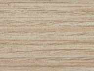 ABS hrana R20367 NW 23x0,8 mm Svetlý dub Estana Rehau (2205W)
