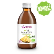 Bio ananásový džús 100% bio ananásový džús 250 ml
