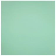 Nábytková fóliovaná dyha Mint lesk 45 x 50