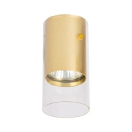 Ricky Downlight Gold 1xGU10