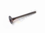 ST50QT 64mm sací ventil