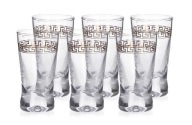 6 x OKULIARE NA VODKU X SADA GRÉCKY WAY 25ml