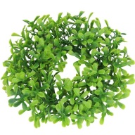 BOXWOOD VENEC VEĽKONOČNÁ TVORBA SVADOBNÉ SPOLOČENSTVO PREMIUM