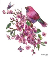 Odnímateľné tetovanie pre deti BIRDS RH031