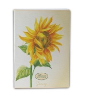A4 NOTEBOOK PIGNA FLOWER ŠPECIÁL 0232610QS