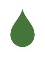 Tekuté voskové farbivo na sviečky 10 ml FOREST GREEN svetlozelená
