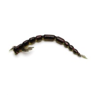 OCHOTKA WESTIN BLOOD TEEZ WORM P001-563-7,5 cm