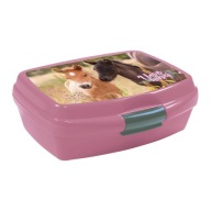 Lunchbox pre deti, obedár, box HORES