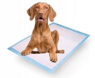 Hygienická podložka Daily Pad 1ks 60x60cm Puppy Adult Dog podložka