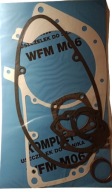 WFM M06 KLINGIERIT TESNENIA MOTORA