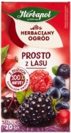 Herbapol Prosto z Lasu čaj 20 vrecúšok