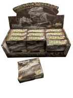 Vykopávky kostra dinosaura fosílna šedá