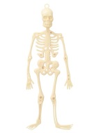 Prívesok s kostrou Halloweenska dekorácia s kostrou